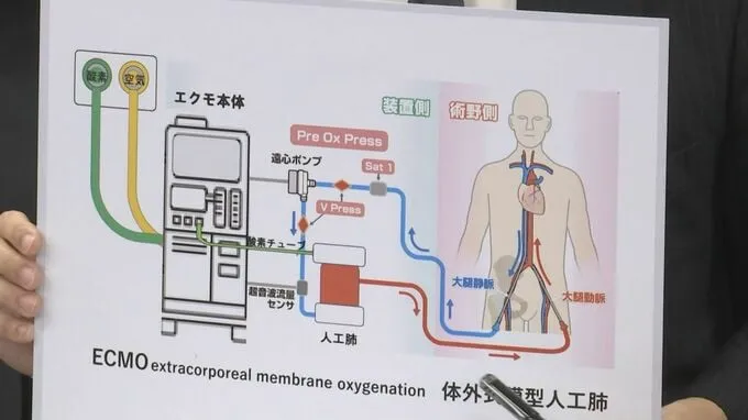 又鞠躬了，日本医院忘接氧气管致患者昏迷